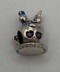 Sterling Silver 925 Charm